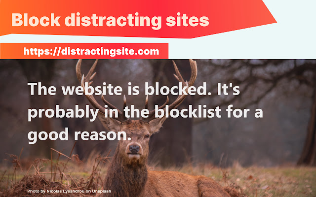 Baitblock: Distraction Blocker chrome谷歌浏览器插件_扩展第4张截图