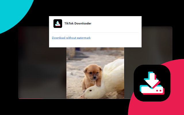 TikTok Downloader chrome谷歌浏览器插件_扩展第1张截图