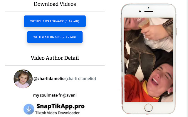 Snaptik - Tiktok Video Downloader chrome谷歌浏览器插件_扩展第2张截图