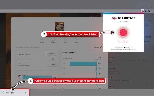 TOKscrape - TikTok Advanced Analytics Tool chrome谷歌浏览器插件_扩展第3张截图