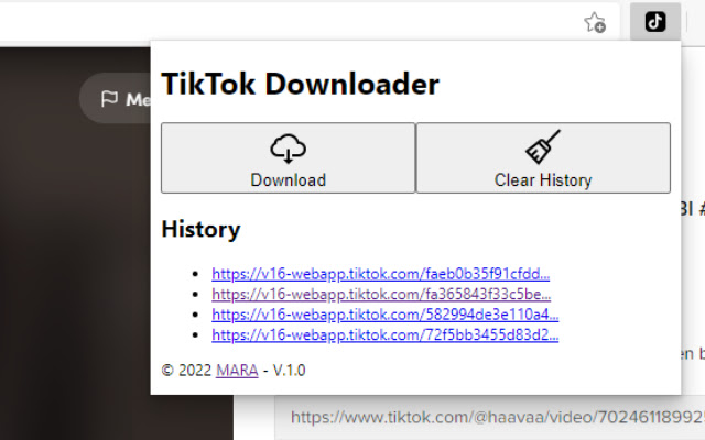 TikTok Downloader chrome谷歌浏览器插件_扩展第1张截图