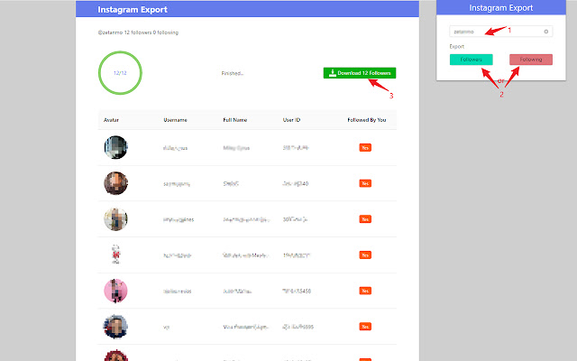 IGExport - Export Ins Followers free chrome谷歌浏览器插件_扩展第1张截图