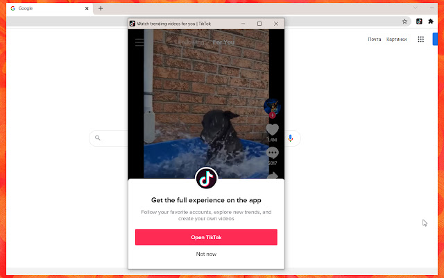 Web TikTok chrome谷歌浏览器插件_扩展第2张截图