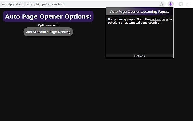 Auto Page Opener chrome谷歌浏览器插件_扩展第4张截图