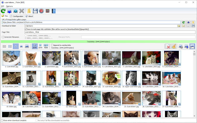 Bulk Image Downloader chrome谷歌浏览器插件_扩展第1张截图