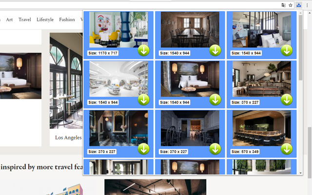 Picture Downloader chrome谷歌浏览器插件_扩展第3张截图