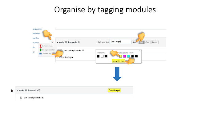 Canvas Modules Organiser chrome谷歌浏览器插件_扩展第2张截图