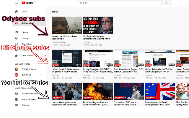 EveryTube chrome谷歌浏览器插件_扩展第1张截图