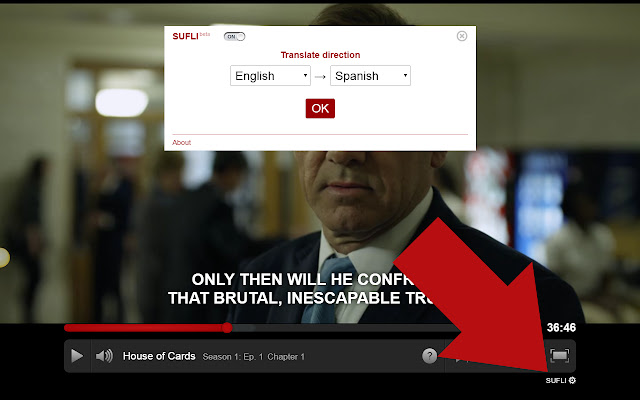 SUFLI - Netflix subtitles translator chrome谷歌浏览器插件_扩展第2张截图