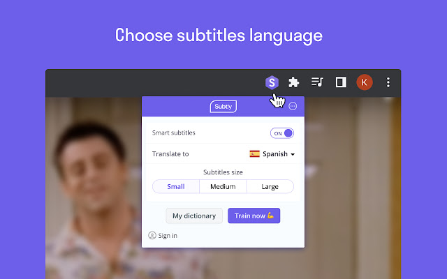 Subtly – Subtitles for Netflix chrome谷歌浏览器插件_扩展第1张截图