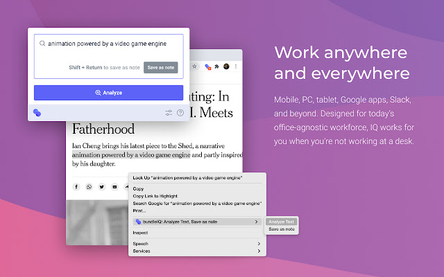 bundleIQ chrome谷歌浏览器插件_扩展第2张截图