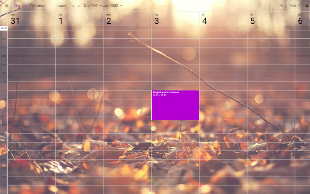 Custom Calendar Background chrome谷歌浏览器插件_扩展第1张截图