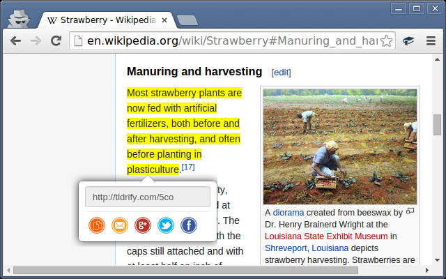 TLDRify chrome谷歌浏览器插件_扩展第1张截图