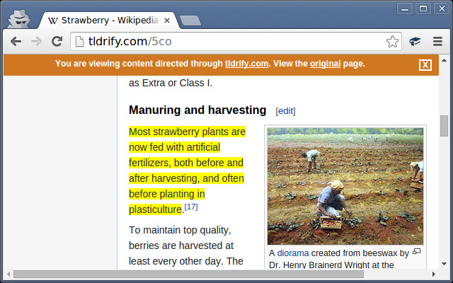 TLDRify chrome谷歌浏览器插件_扩展第2张截图