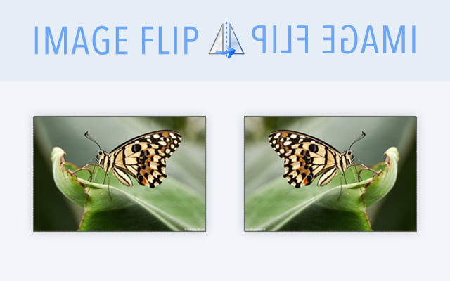Image Flip chrome谷歌浏览器插件_扩展第1张截图