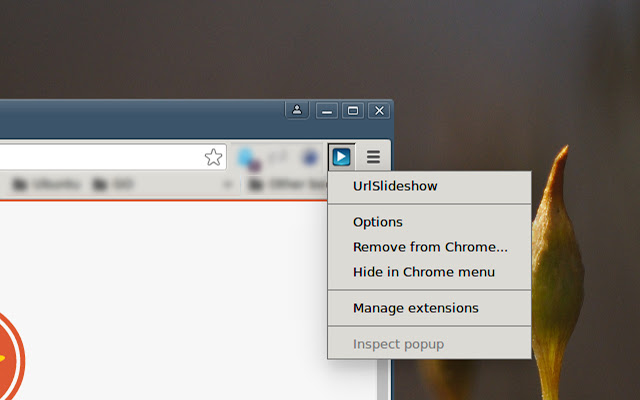 Url Slideshow chrome谷歌浏览器插件_扩展第1张截图
