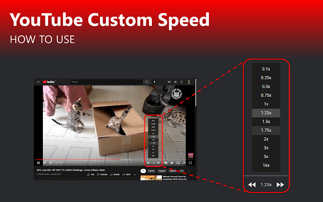 Youtube Custom Speed chrome谷歌浏览器插件_扩展第1张截图