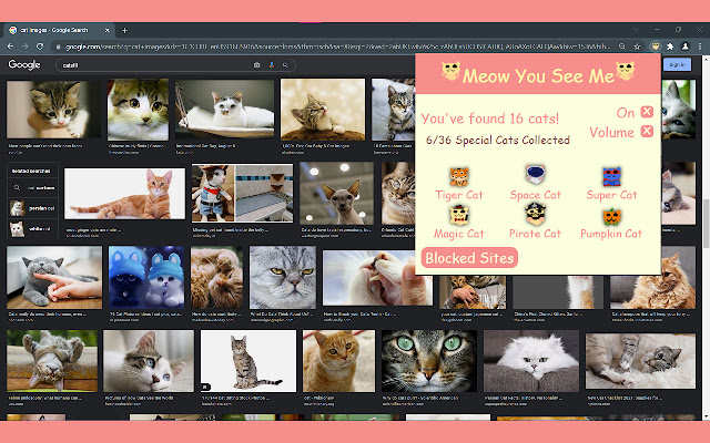 Meow You See Me chrome谷歌浏览器插件_扩展第1张截图