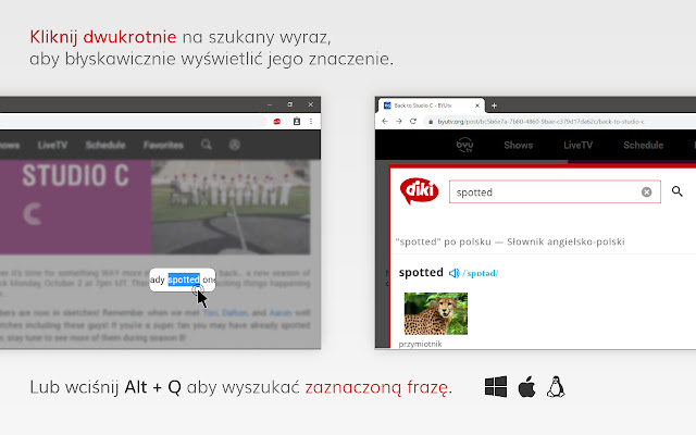 Quiki chrome谷歌浏览器插件_扩展第2张截图