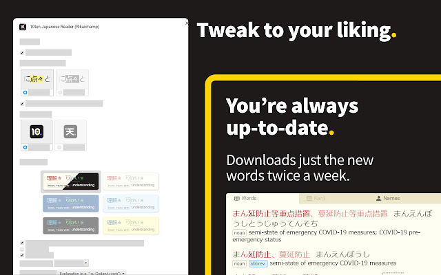 10ten Japanese Reader (Rikaichamp) chrome谷歌浏览器插件_扩展第5张截图