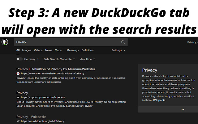 Search With DuckDuckGo chrome谷歌浏览器插件_扩展第3张截图