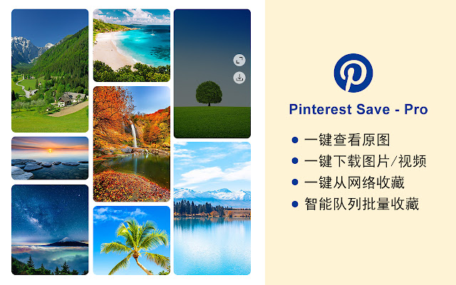 Pinterest Save - Pro chrome谷歌浏览器插件_扩展第1张截图