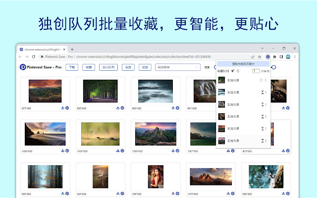 Pinterest Save - Pro chrome谷歌浏览器插件_扩展第5张截图