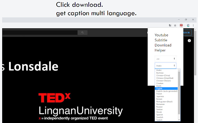 Youtube Subtitle Download Helper chrome谷歌浏览器插件_扩展第2张截图