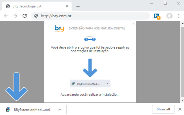 Assinatura Digital para Navegador - BRy chrome谷歌浏览器插件_扩展第5张截图