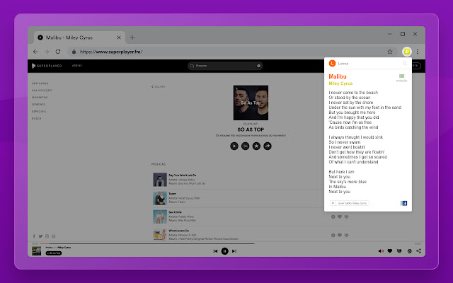 Letras.mus.br chrome谷歌浏览器插件_扩展第3张截图