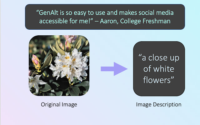 GenAlt - Generated Alt-Text for BVI chrome谷歌浏览器插件_扩展第1张截图