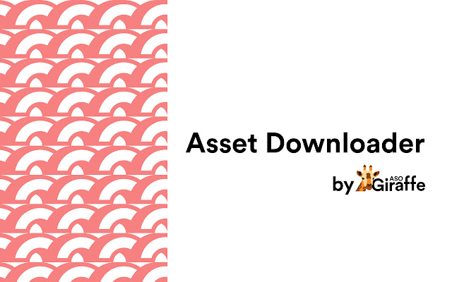 Asset downloader chrome谷歌浏览器插件_扩展第1张截图