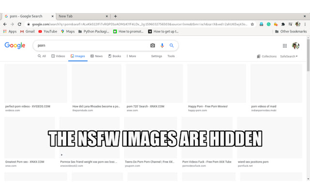 NSFW Filter chrome谷歌浏览器插件_扩展第1张截图