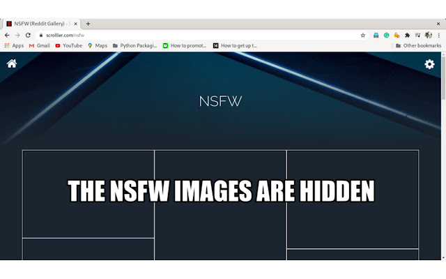 NSFW Filter chrome谷歌浏览器插件_扩展第2张截图