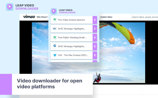 Leap Video Downloader chrome谷歌浏览器插件_扩展第1张截图