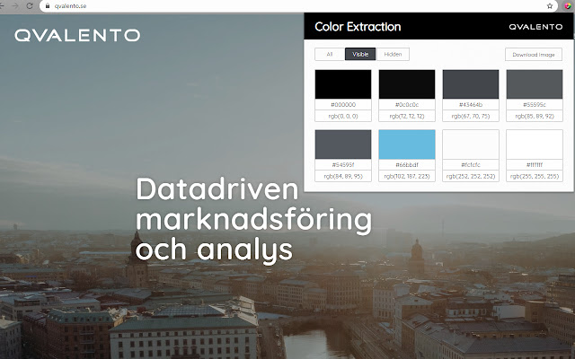 Color Extraction by Qvalento chrome谷歌浏览器插件_扩展第1张截图