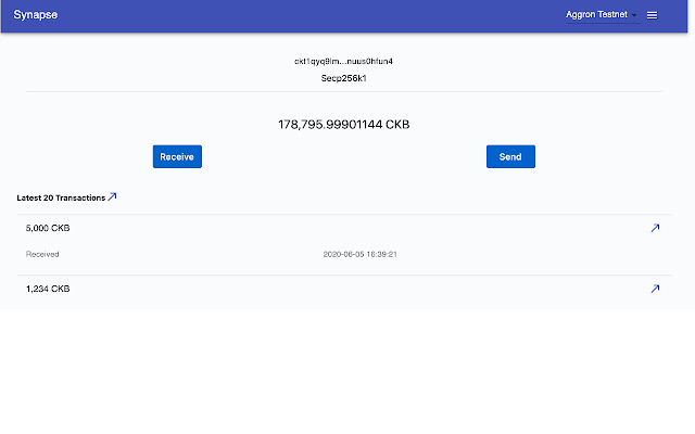 Synapse extension chrome谷歌浏览器插件_扩展第5张截图