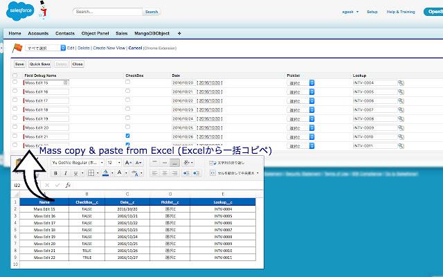 Salesforce Mass Editor chrome谷歌浏览器插件_扩展第4张截图