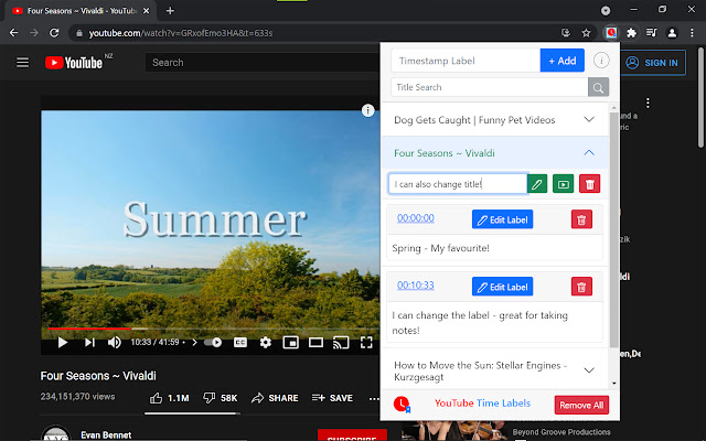 YouTube Time Labels chrome谷歌浏览器插件_扩展第4张截图