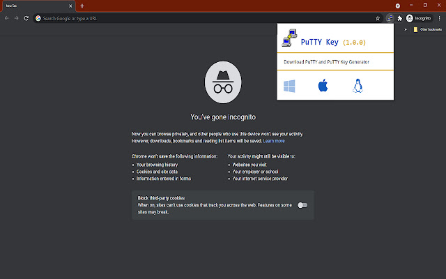 PuTTYKey chrome谷歌浏览器插件_扩展第2张截图
