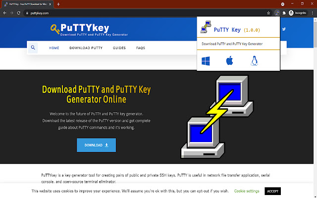PuTTYKey chrome谷歌浏览器插件_扩展第5张截图