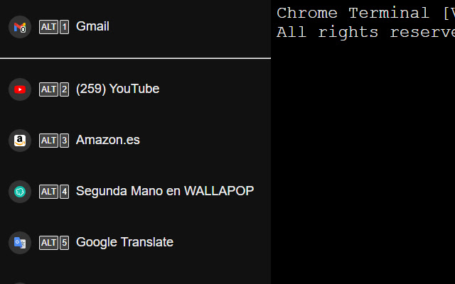 Chrome Terminal chrome谷歌浏览器插件_扩展第2张截图