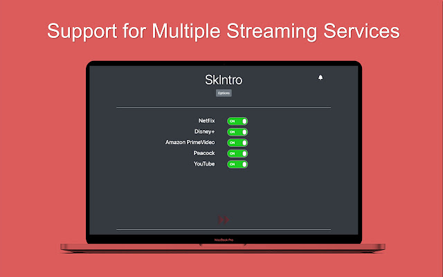 SkIntro chrome谷歌浏览器插件_扩展第3张截图