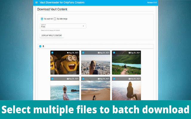 Vault Downloader for OnlyFans Creators chrome谷歌浏览器插件_扩展第5张截图