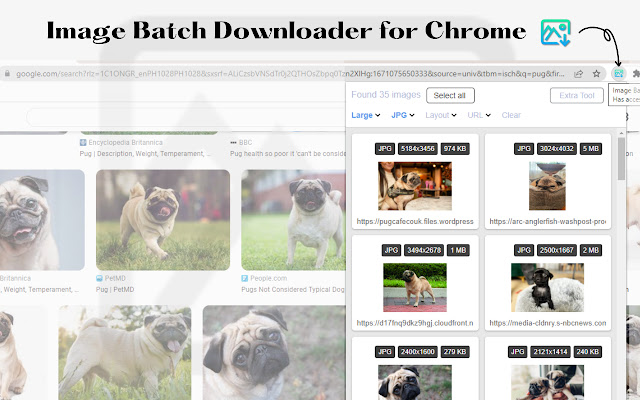 Image Batch Downloader 2.0 chrome谷歌浏览器插件_扩展第1张截图