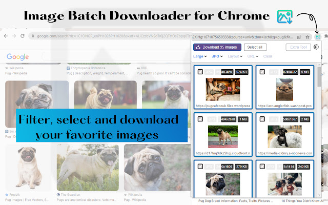 Image Batch Downloader 2.0 chrome谷歌浏览器插件_扩展第2张截图