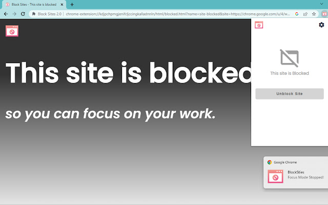Block Sites 2.0 chrome谷歌浏览器插件_扩展第2张截图