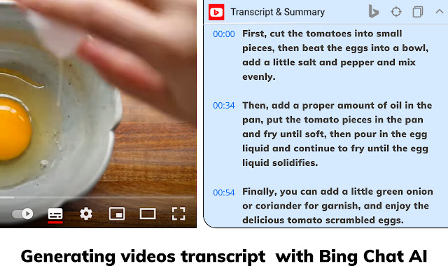YouTube视频摘要生成器 - Bing Chat（中文版） chrome谷歌浏览器插件_扩展第2张截图