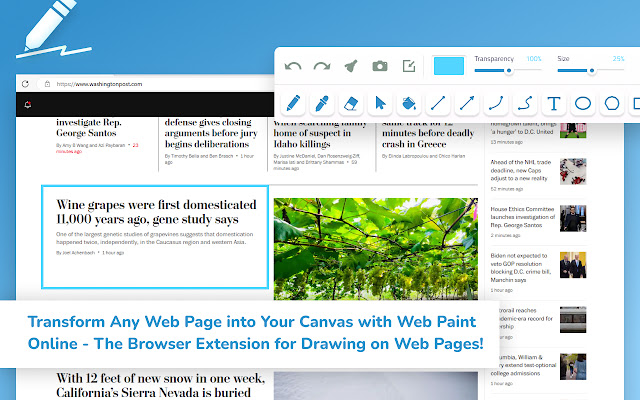 Web Paint Online chrome谷歌浏览器插件_扩展第1张截图