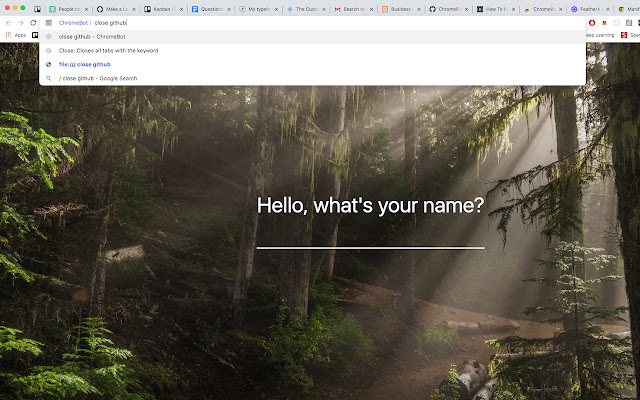 ChromeBot chrome谷歌浏览器插件_扩展第1张截图